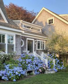 a house with blue flowers in the front yard