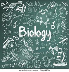 the word biology written in white chalk on a green blackboard with doodle drawings