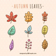 autumn leaves on a pink background with polka dotty dots and the words autumn leaves written in