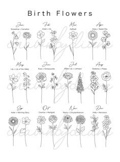 the birth flowers are shown in black and white, with their names on each flower