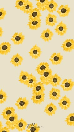 the sunflowers are yellow and brown in color