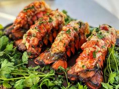 some cooked lobsters are on a plate with parsley sprinkled around them