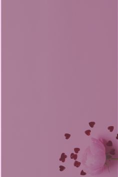 pink roses and hearts floating in the air on a purple background with space for text