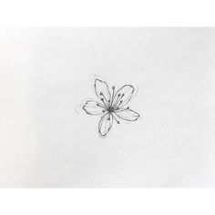 a drawing of a flower on a white paper