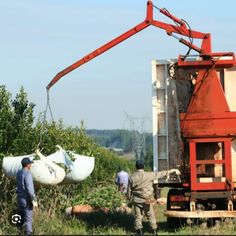 two men are working in the field near a red truck with bags attached to it