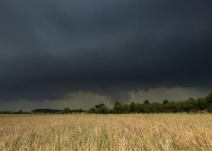 a large field with grass and trees under a dark cloud filled sky in the distance