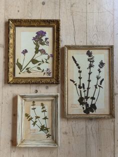 three framed flowers are hanging on the wall next to each other, one is purple