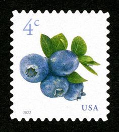 a postage stamp with blueberries on it