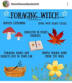 a poster with different things in it and the words foraging - witch written on it