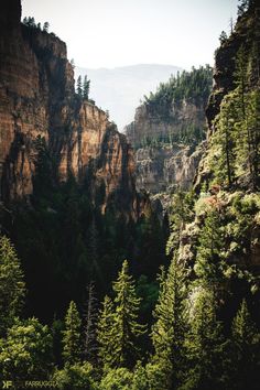 the mountains are surrounded by tall trees and rocky cliffs with green foliage on each side