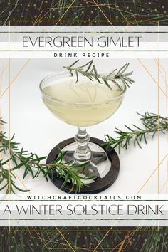 the evergreen gimlet drink recipe is served in a coupe glass with rosemary sprigs