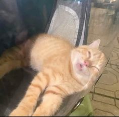 an orange and white cat laying on top of a chair next to a glass door