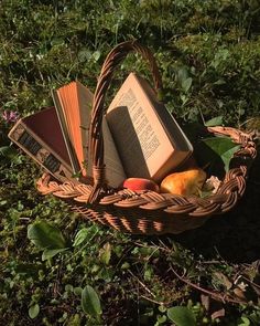 a basket filled with books and fruit sitting on top of a grass covered field next to trees