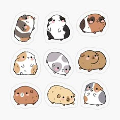 six stickers with different animals on them