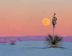 the full moon is setting over a desert landscape