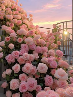 many pink roses are growing on the side of a building at sunset or sunrise time