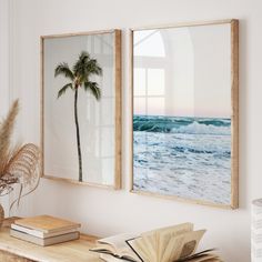 two framed pictures hanging on the wall above a table with books and plants in front of it