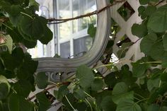 a mirror sitting on top of a wooden table next to a tree filled with leaves