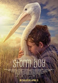 the movie poster for storm boy with a child holding a pelican in his arms