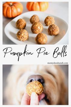 pumpkin pie balls are the perfect treat for dogs