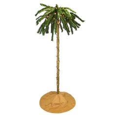 a tall palm tree with lights on it's top and bottom branches in a wooden stand