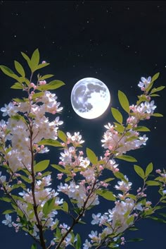 the full moon shines brightly in the night sky above flowering trees with white flowers