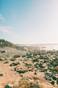 the beach is covered with rocks and plants