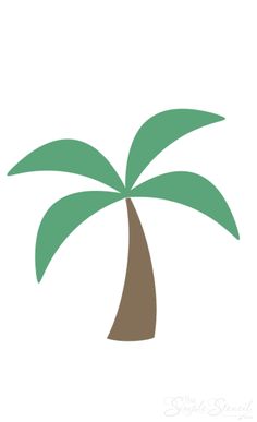 a palm tree with green leaves on it's top and brown bottom, against a white background