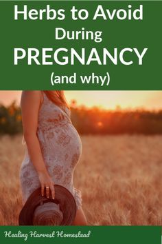 a pregnant woman in a field with the words herbs to avoid during pregnancy and why