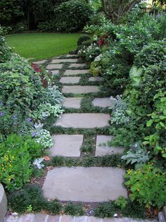 a stone path surrounded by plants and flowers