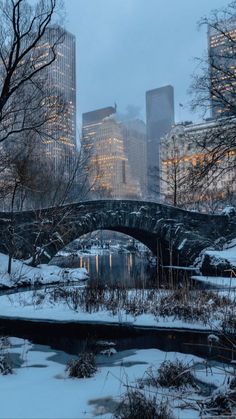 a bridge that is over some water in the snow