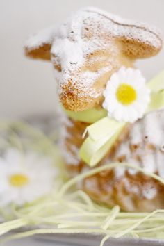 a plate topped with powdered sugar covered pastries and flowers on top of grass