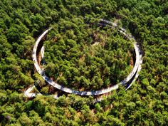 an aerial view of a bridge in the middle of a forest with red stamp on it