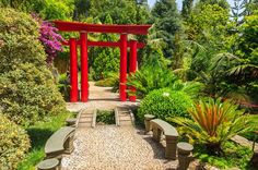 a garden with benches and trees in the background