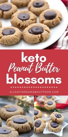 keto peanut butter blossoms on a white plate