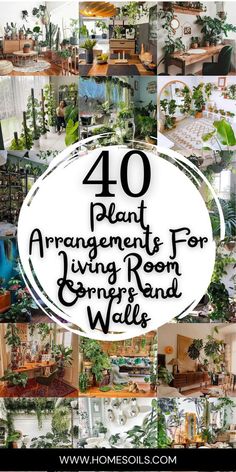 Living Room Corners, Indoor Plants Decor Living Room, Living Room Plants Decor, Plant Decor Ideas, Indoor Plants Decor, Indoor Plant Display, Plant Display Ideas, Plant Arrangements