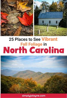 Places to see fall foliage in North Carolina Smoky Mountain Waterfalls, Craggy Gardens, Usa Places To Visit, Places In Usa, Fall Break, Cades Cove, Great Smoky Mountains National Park, Blue Ridge Parkway