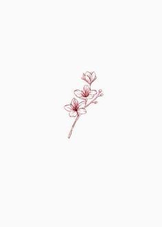 a pink flower is shown on a white background with the word love written below it