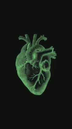 the human heart is glowing green in the dark