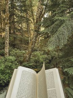 an open book sitting in the middle of a forest