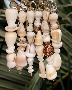 a bunch of sea glass is hanging from a chandelier in a tropical setting