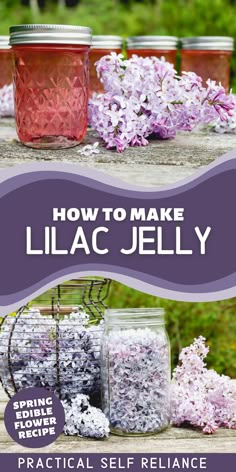 how to make lilac jelly practical self reliance for growing flowers in jars and mason jars