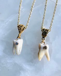 This authentic human molar with a beautiful stone cavity is set within an adjustable 925 sterling silver setting Human Teeth Jewelry, Teeth Necklace, Human Teeth, Teeth Jewelry, Tooth Necklace, Pearl Jewelry Sets, Funky Jewelry, Pearl Strands, Gold Crystal