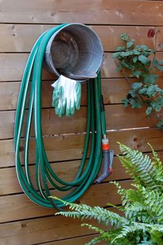 a garden hose and gardening gloves hanging on a wall next to a potted plant