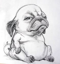 a pencil drawing of a pug sitting down