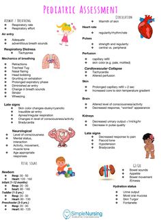 the pediatric assistant's resume is shown in pink and blue, with cartoon characters on it