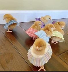 several little chicks dressed up in dresses on the floor