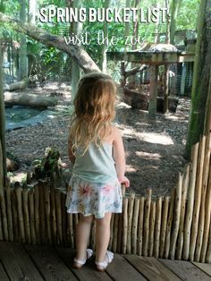 Sweet Turtle Soup - Spring Bucket List: visit the zoo The Zoo, Summer Dresses