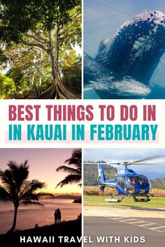 Ready to explore Kauai Hawaii when it’s less crowded and extra stunning? Check out these top spots for a Kauai family vacation in February! From marveling at the rugged Napali Coast Kauai to strolling through Hanapepe Kauai art galleries, there's something for everyone. Don’t miss the scenic charm of Princeville Kauai or the vibrant scene in Lihue Kauai. Discover the best places to stay in Kauai and plan your Kauai with kids experience with exciting Kauai activities you can’t skip!