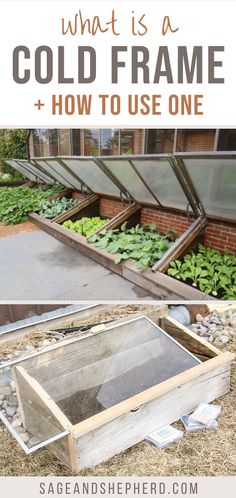 what is a cold frame and how to use one